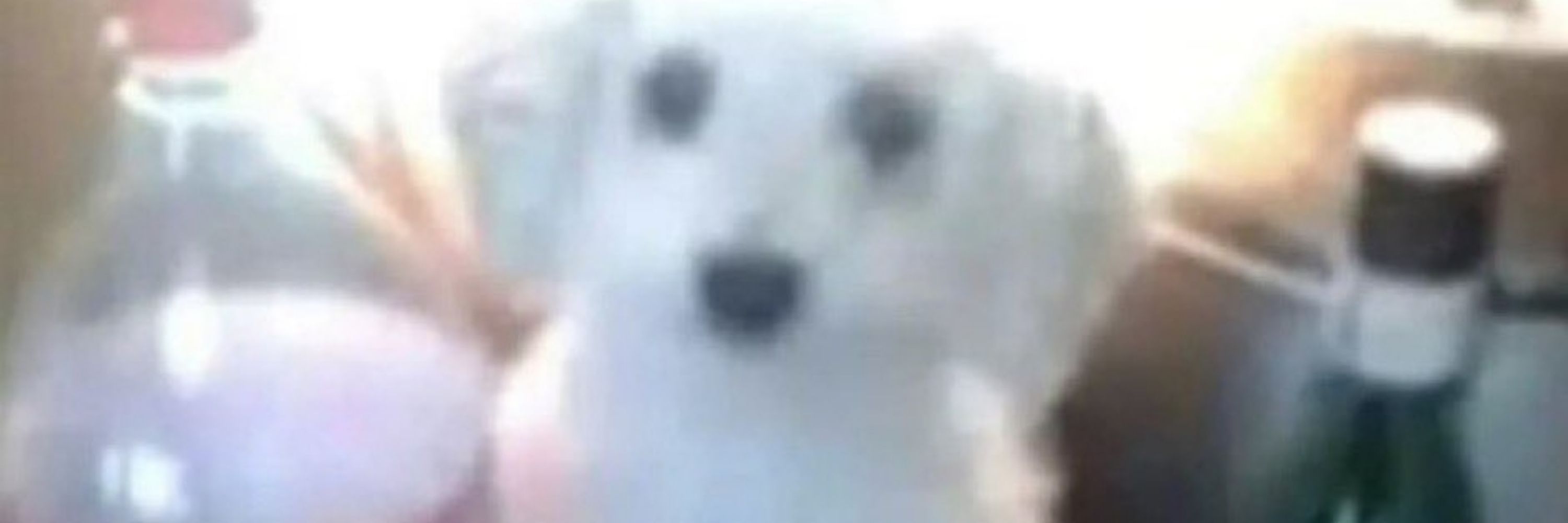 Dev