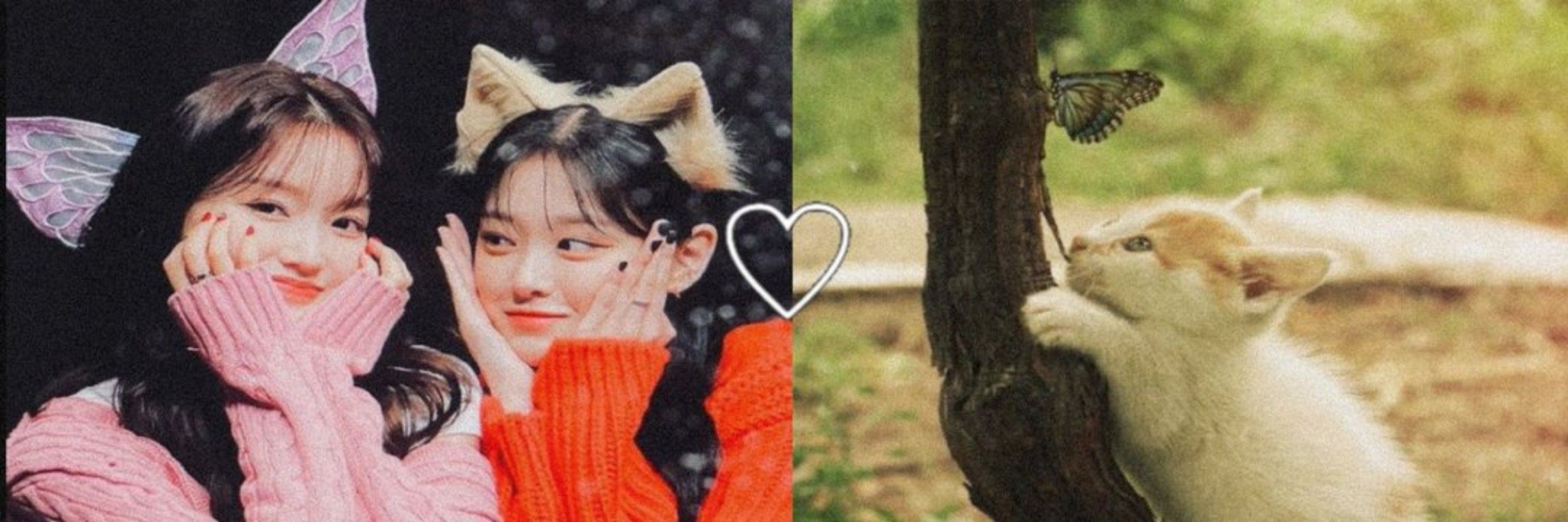 mayu ⚢