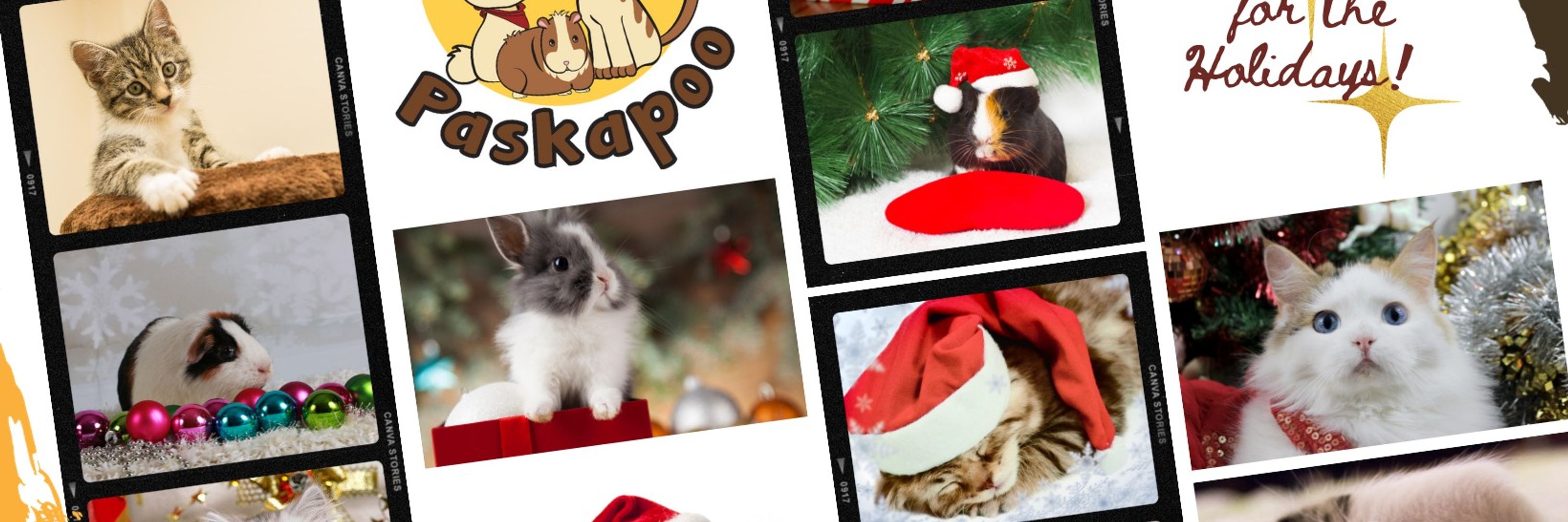 Paskapoo Pet Services in YYC