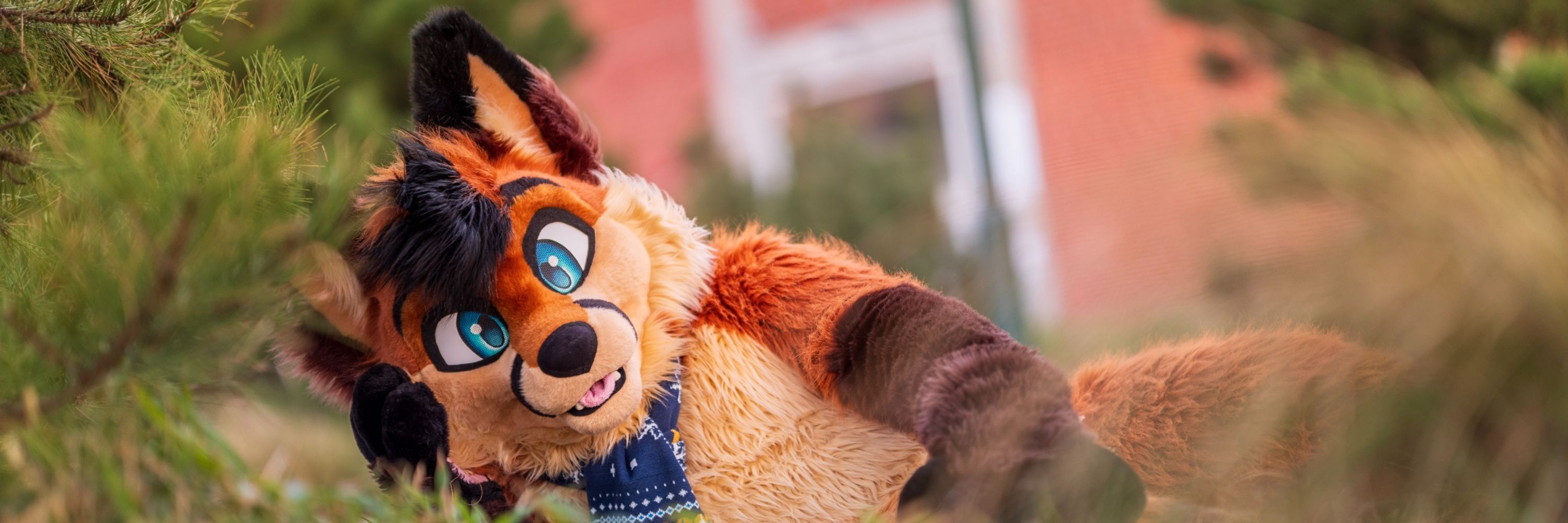 Cookie the Fox