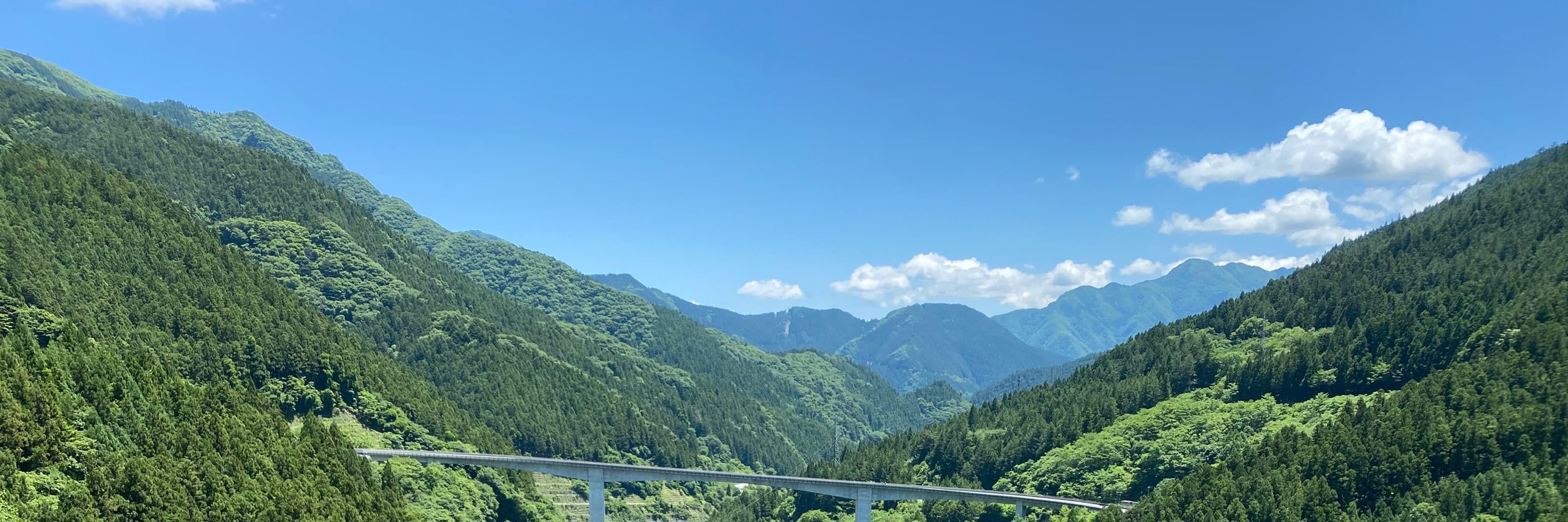 愚果