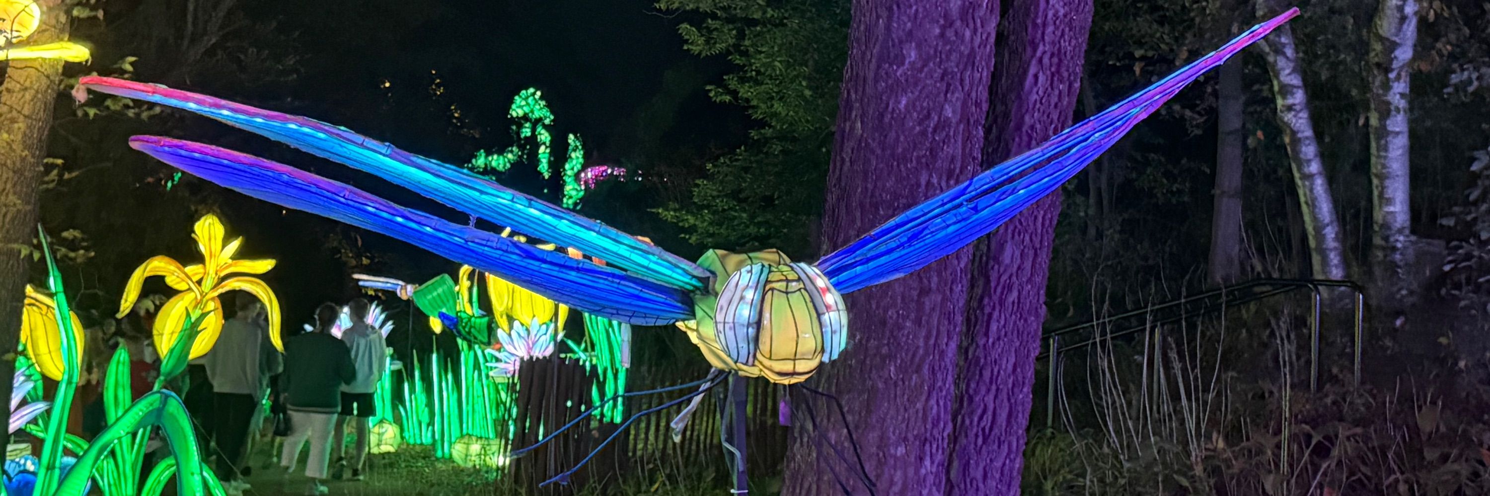 EnergeticNomad
