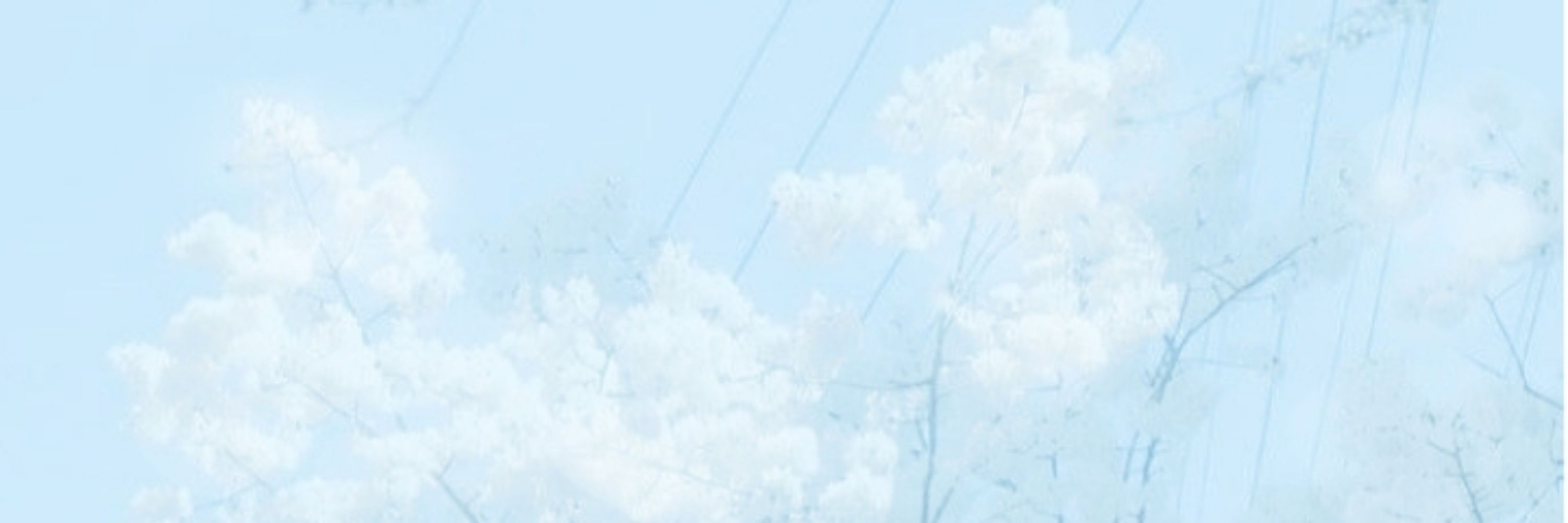 Хинэ♥･❀рест.