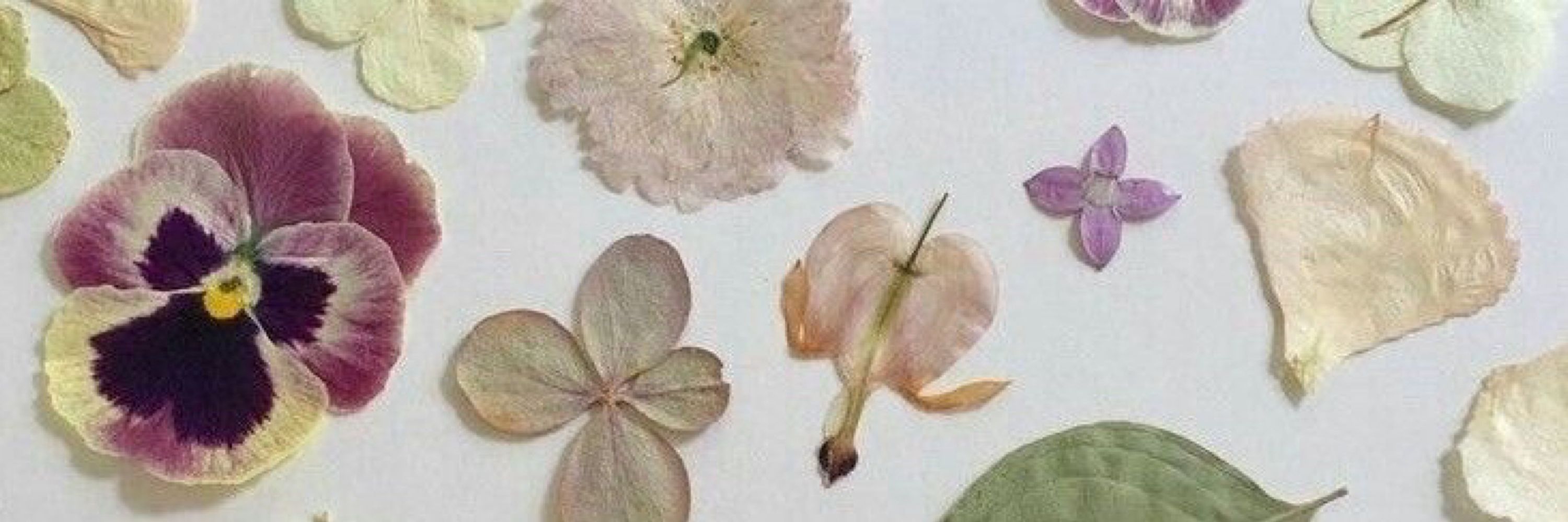 e.