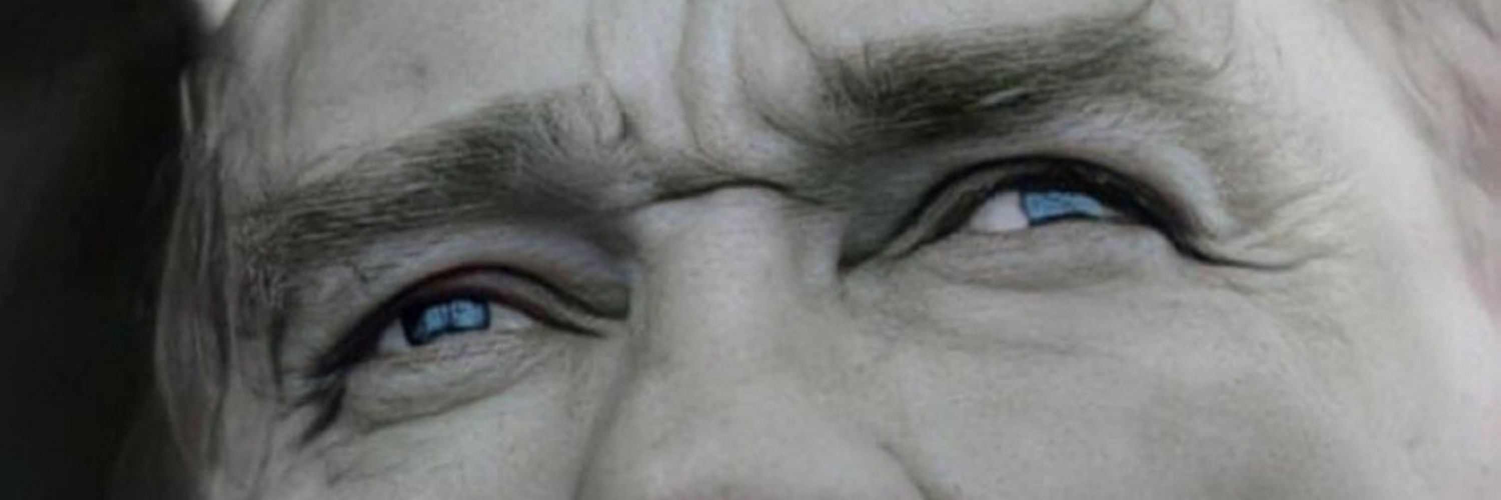 Eylemci Joker