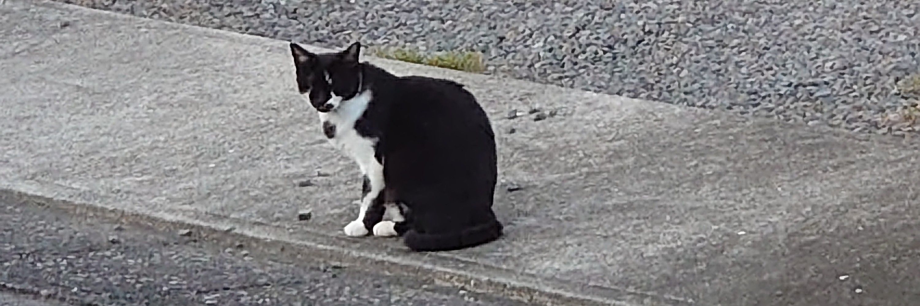 にる