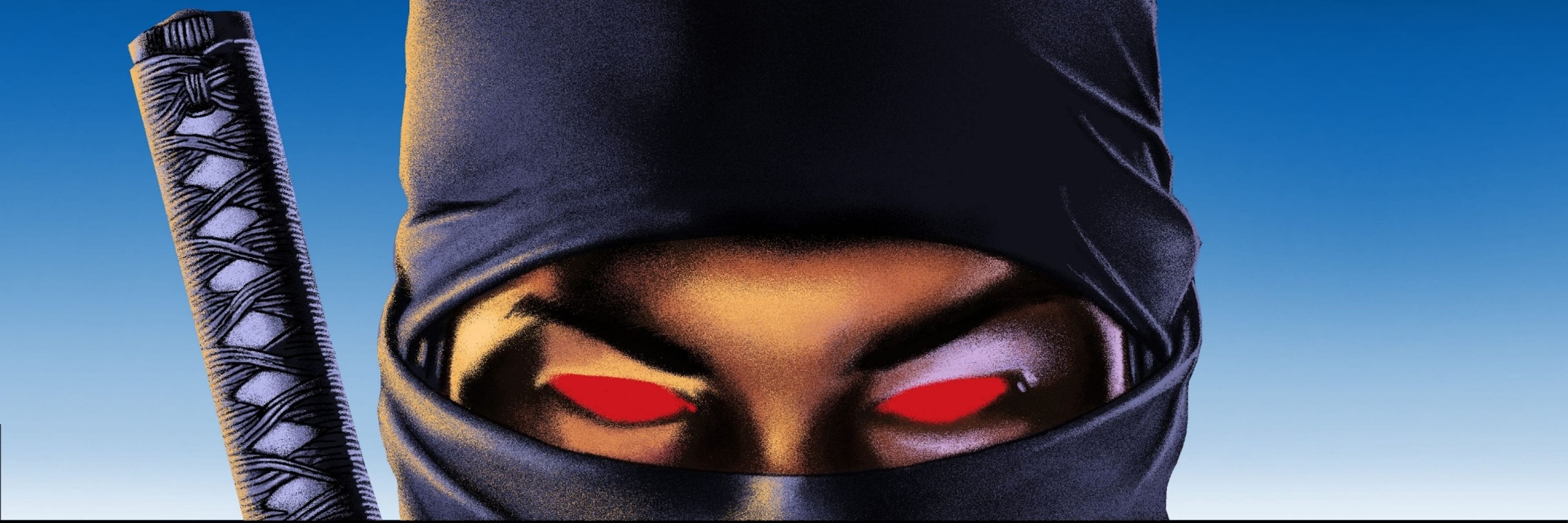 Ninja 666