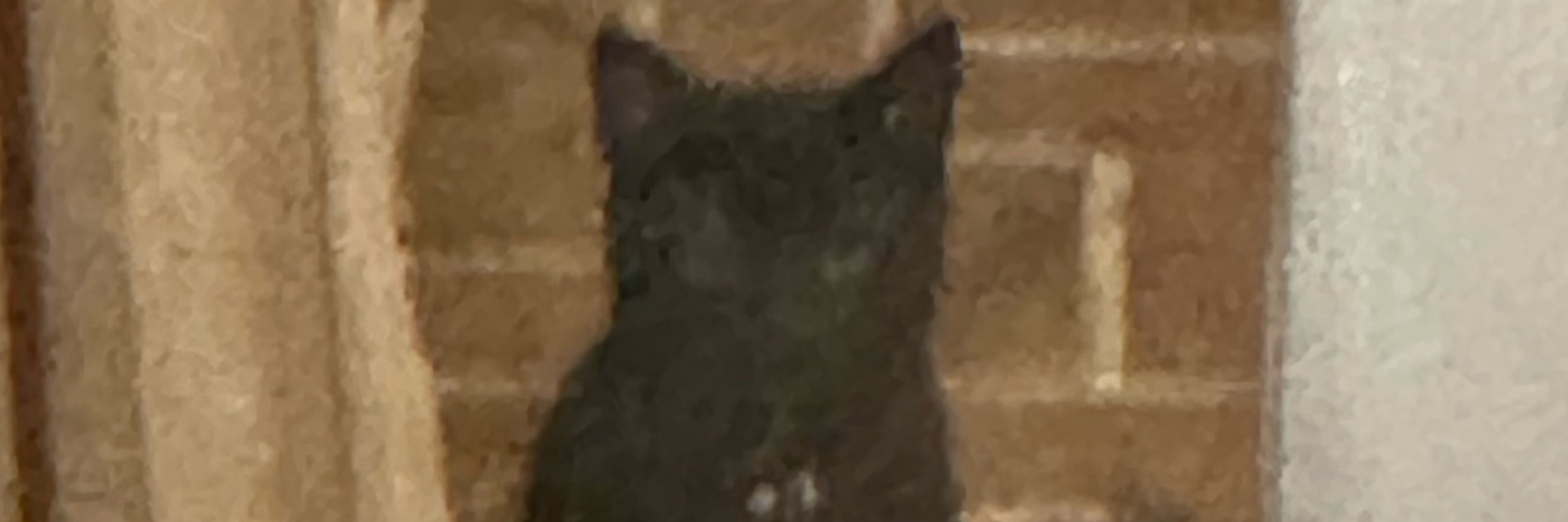 ≠