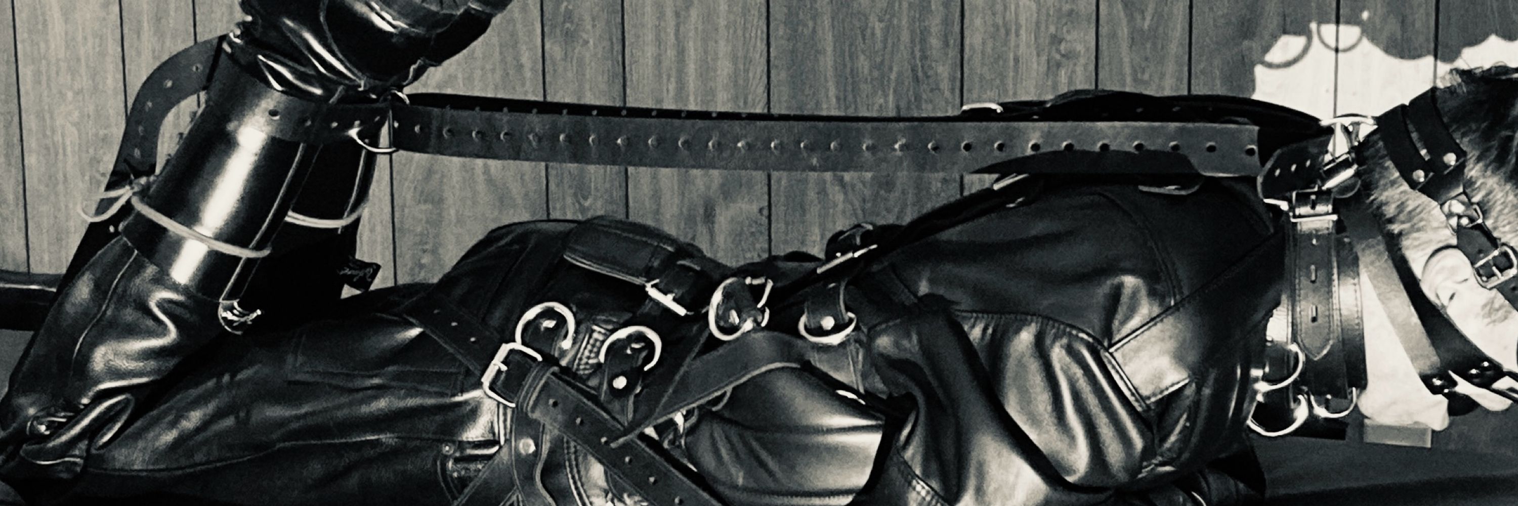 Seriously Bound