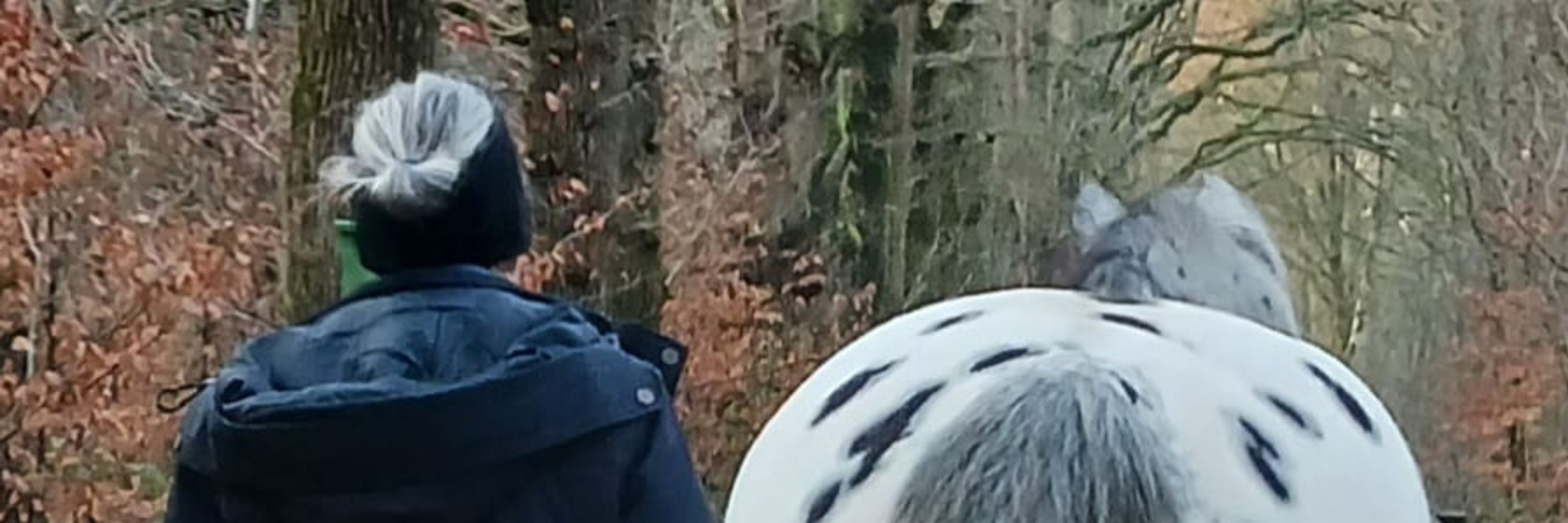 Willemijn Bouman