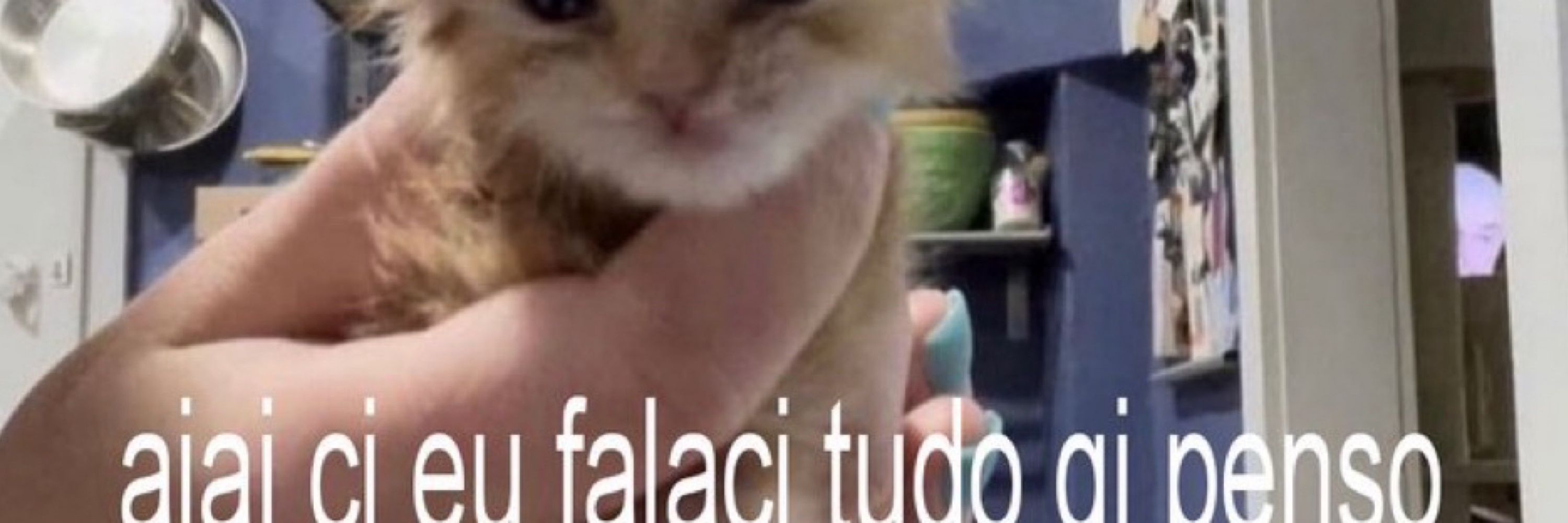 clarice