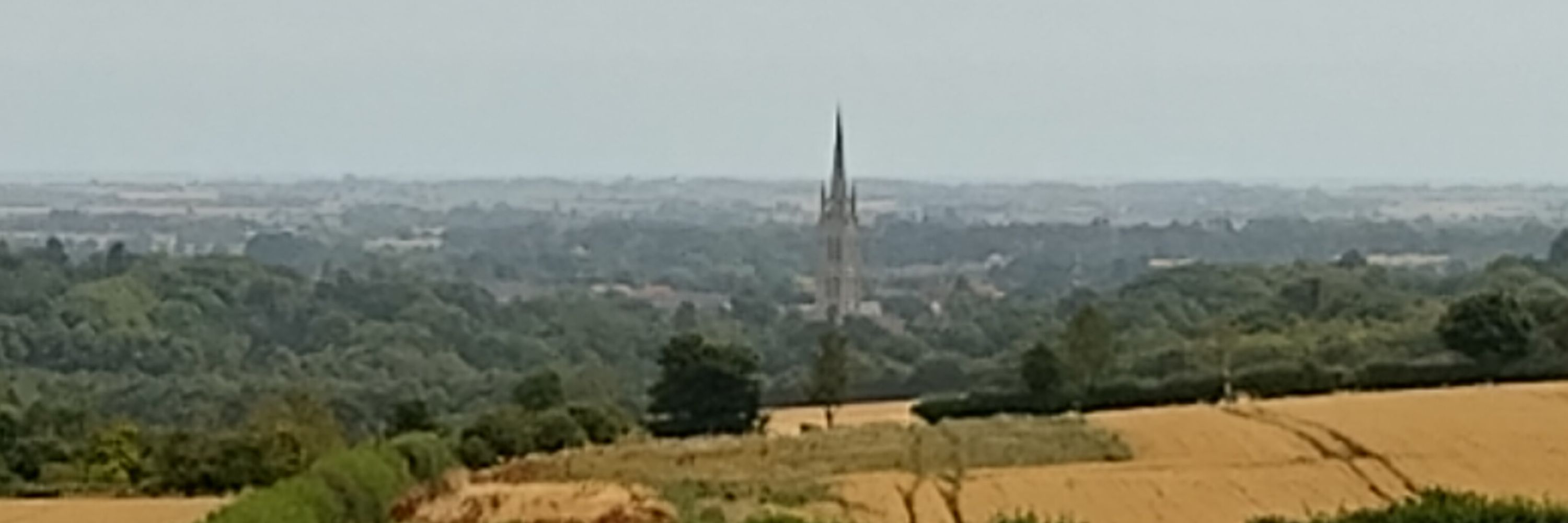 LouthMatters