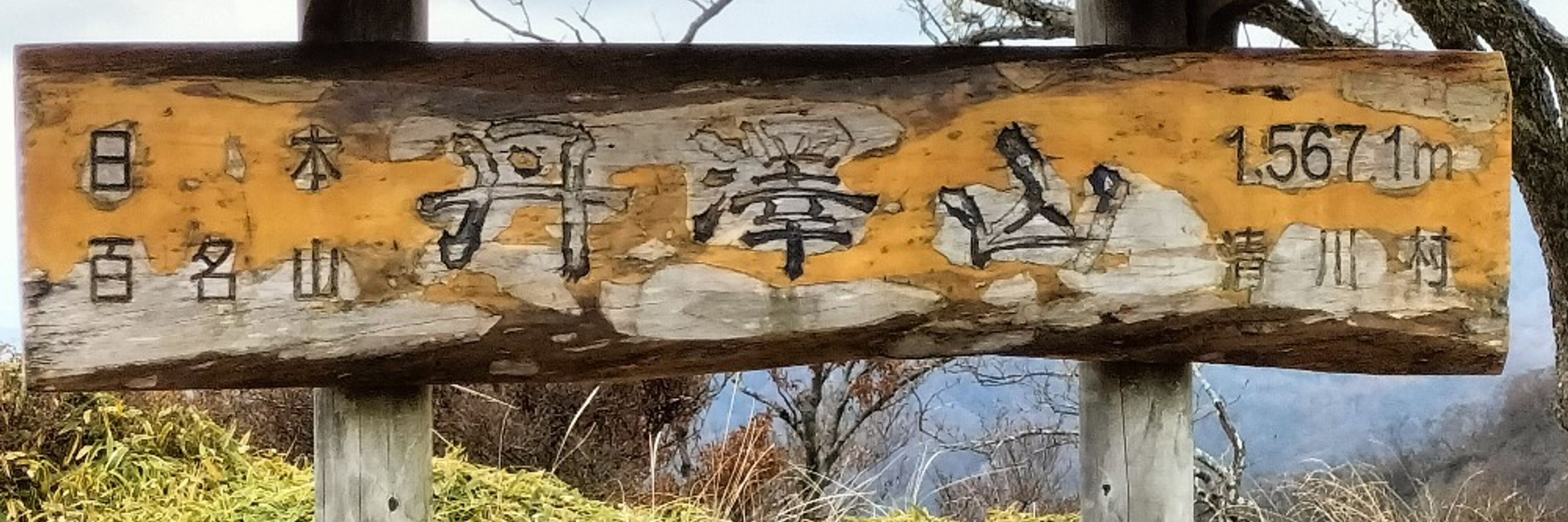 竹井