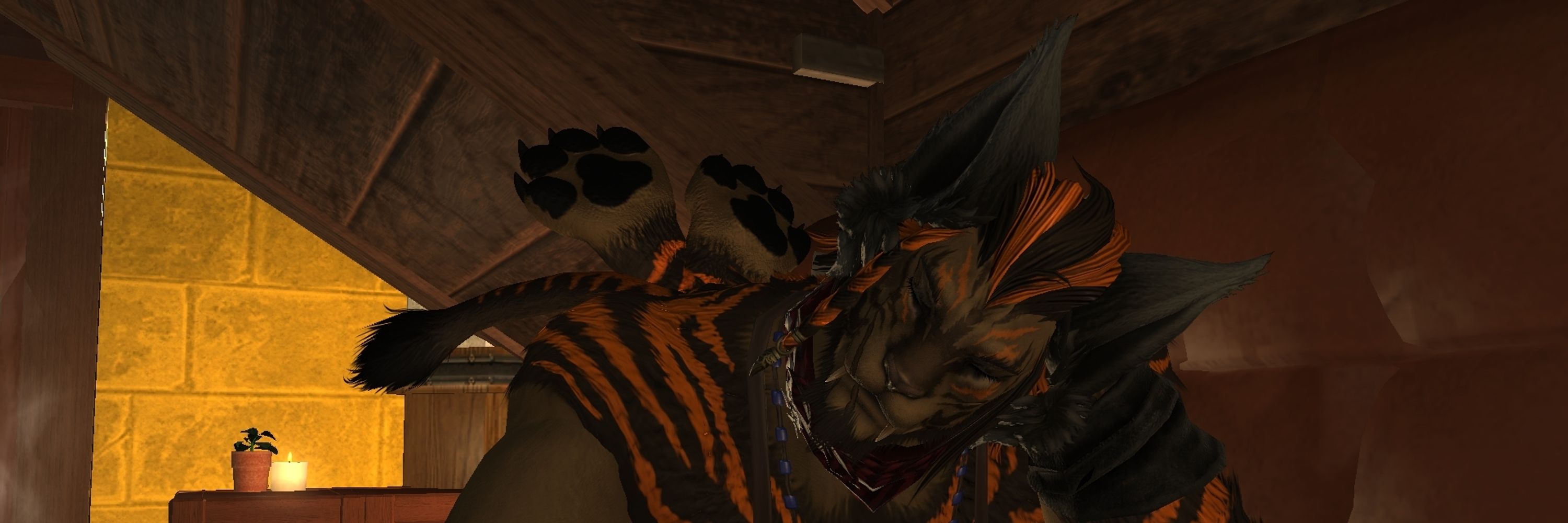 Koda Maplepaw