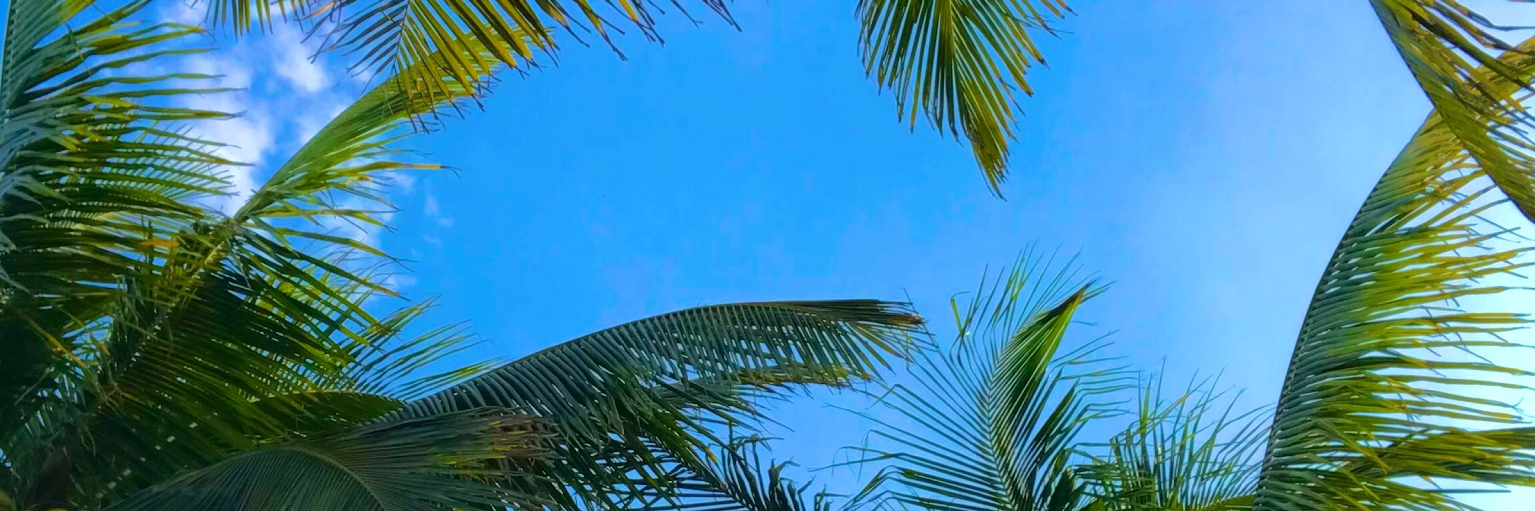 b.