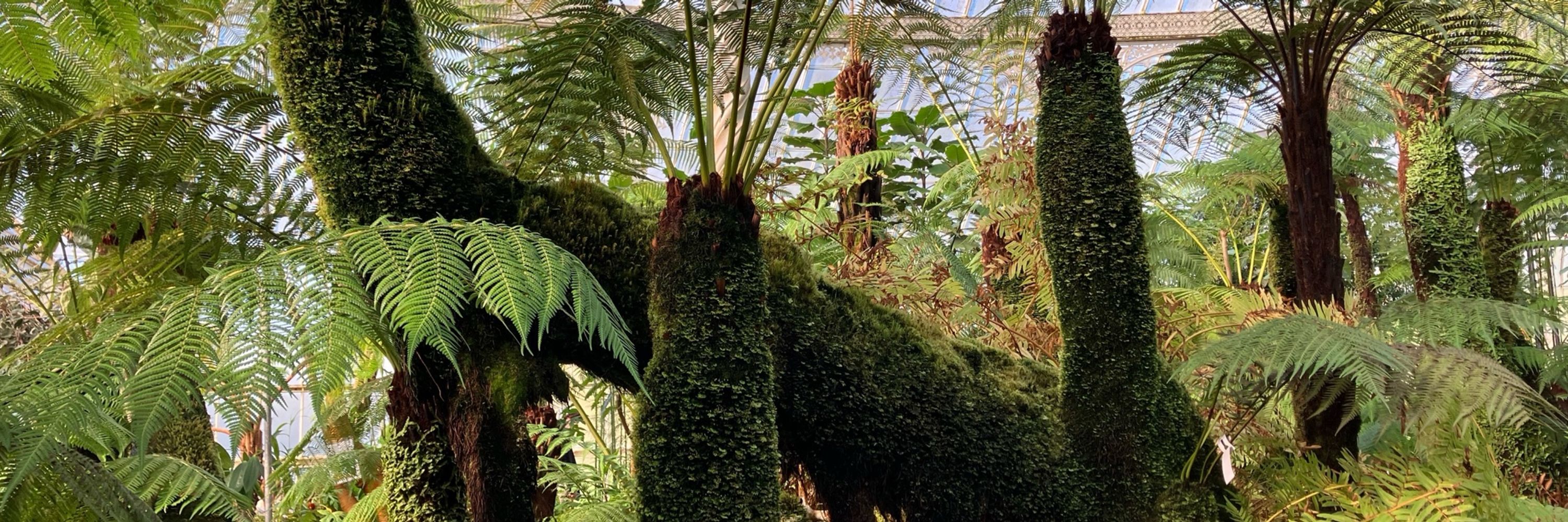 Fern Pendragon
