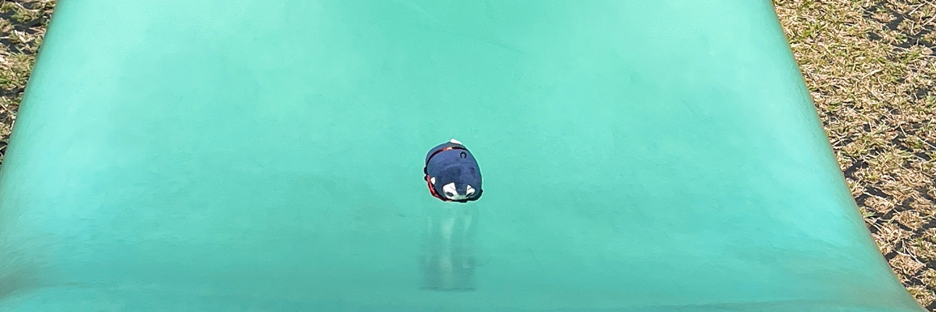 ただみ