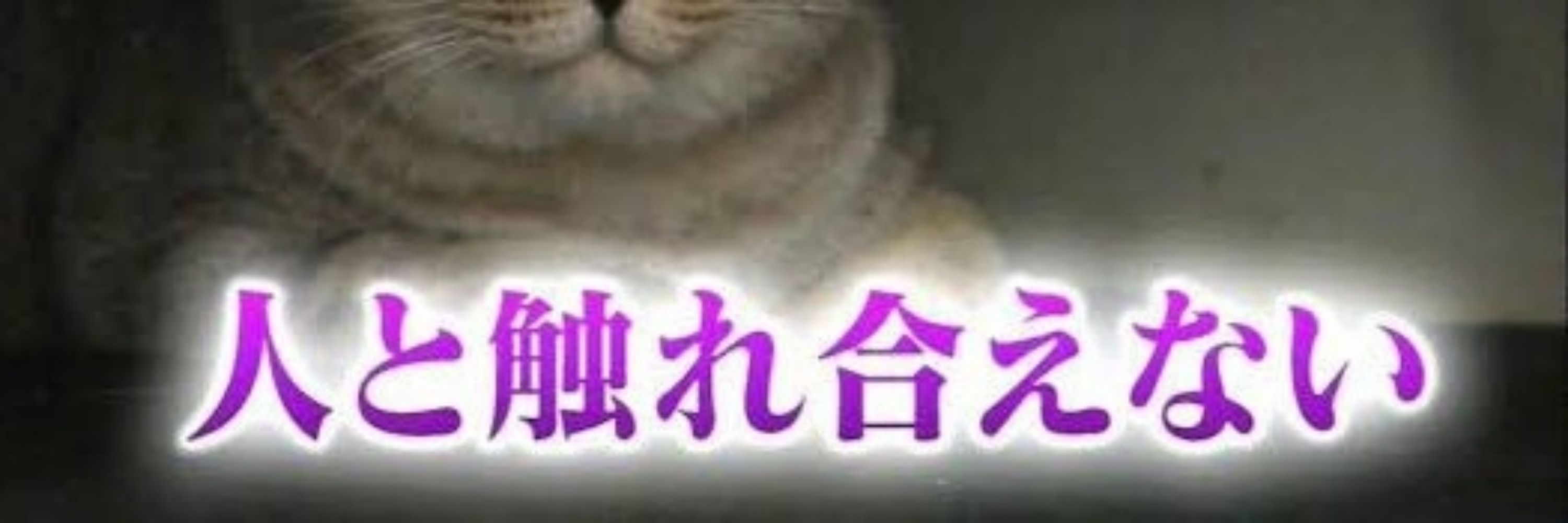 オホ氏