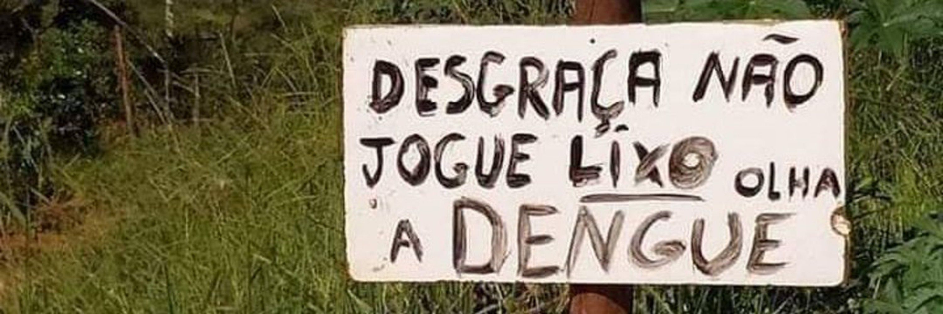 Suco de fruta 