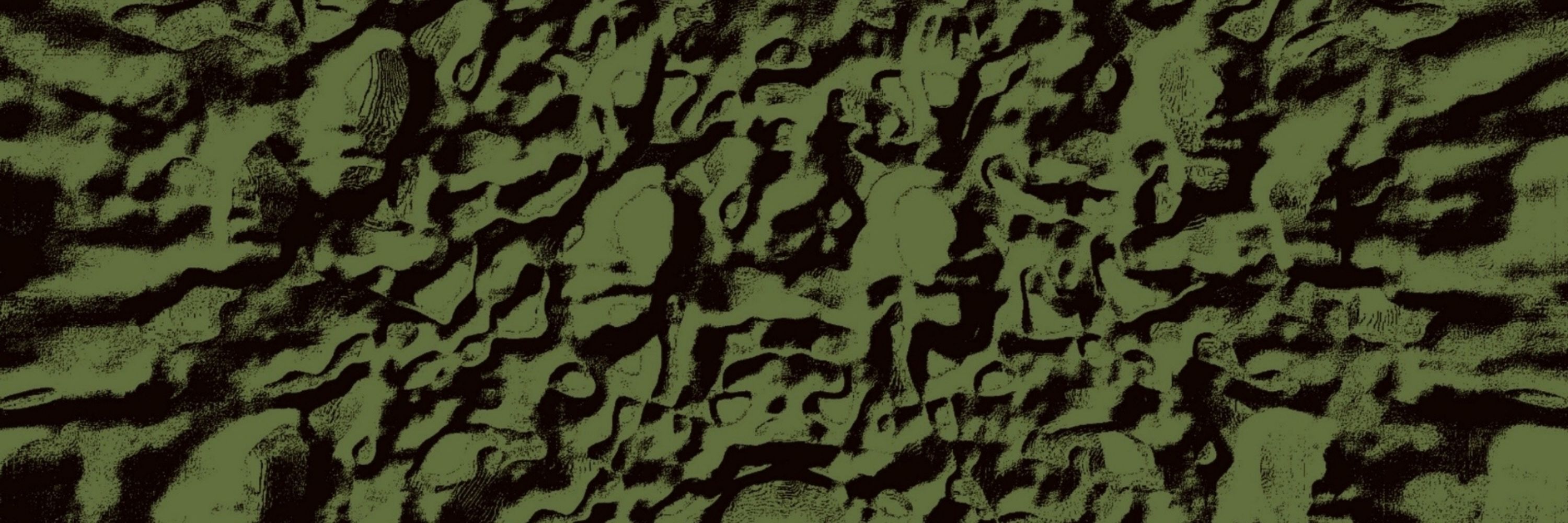 Shadow of The Amaranth