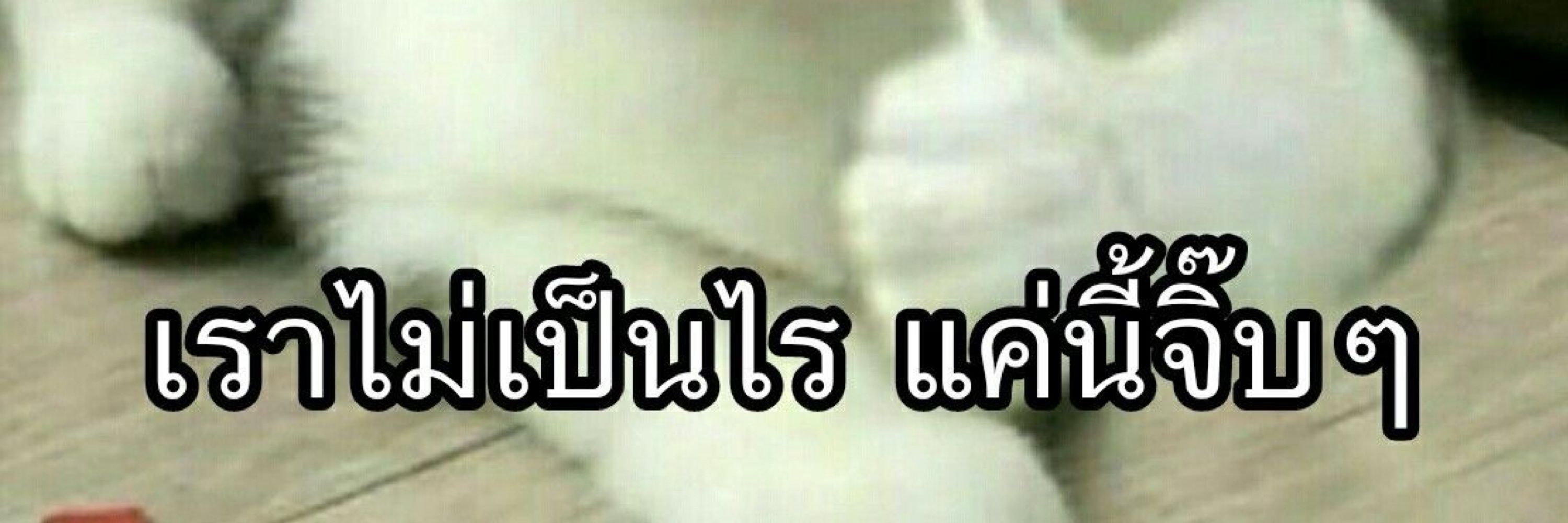 Kub pom