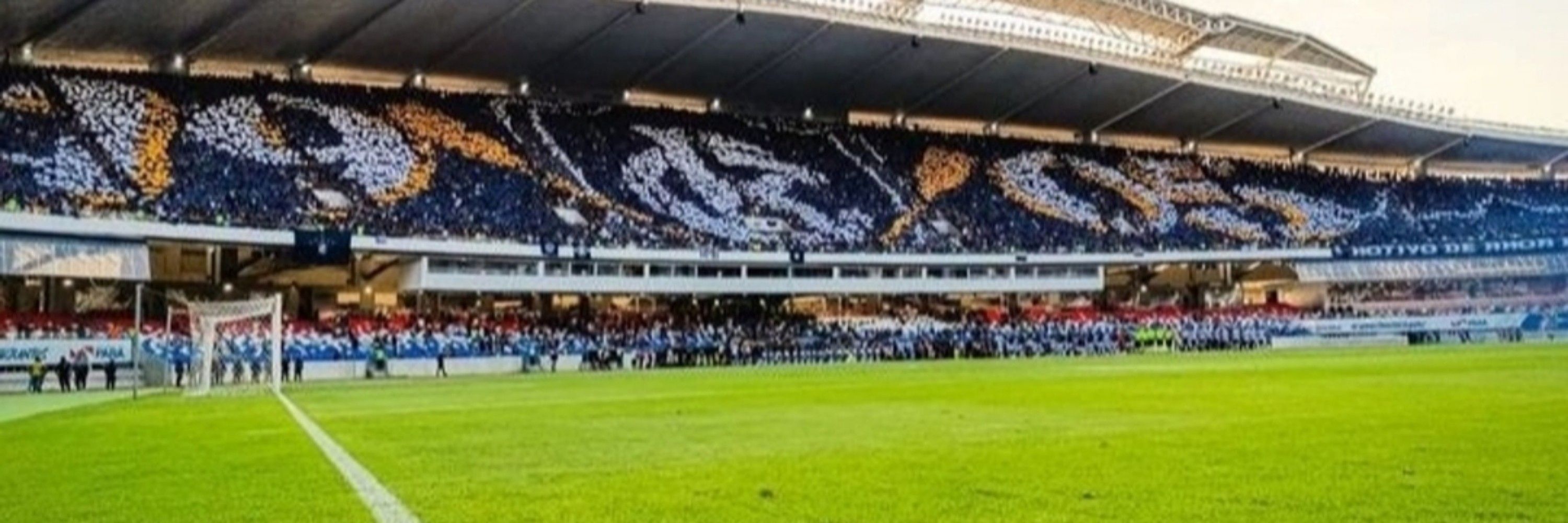 Silva do Leão 