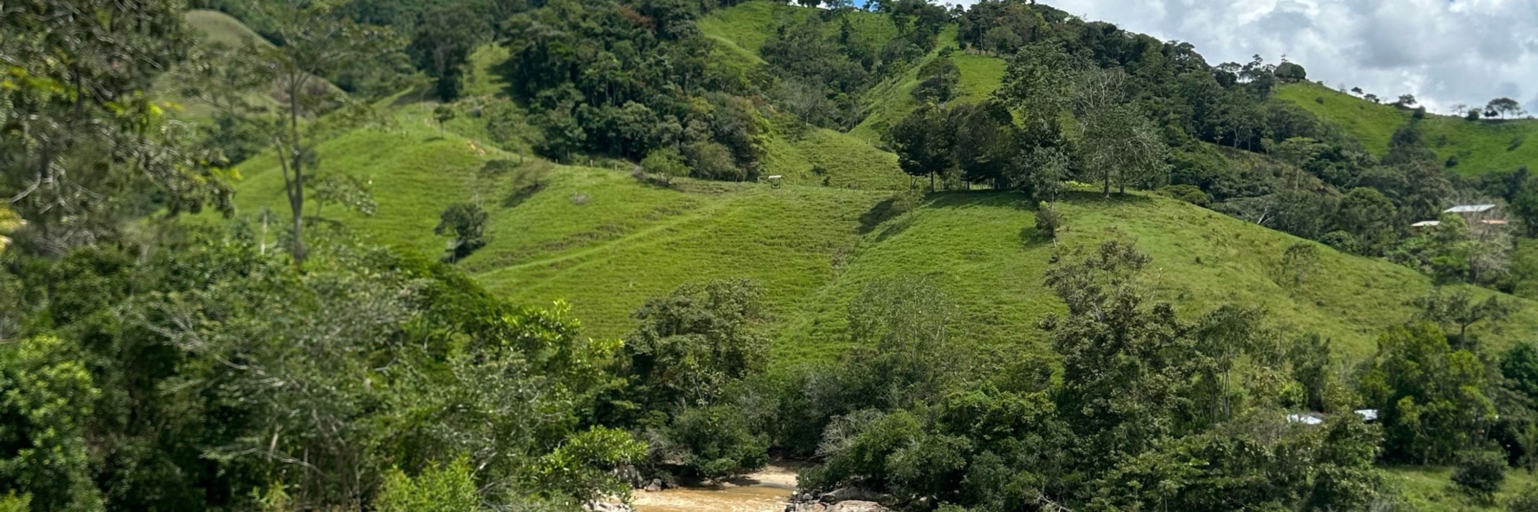 Dorisilla