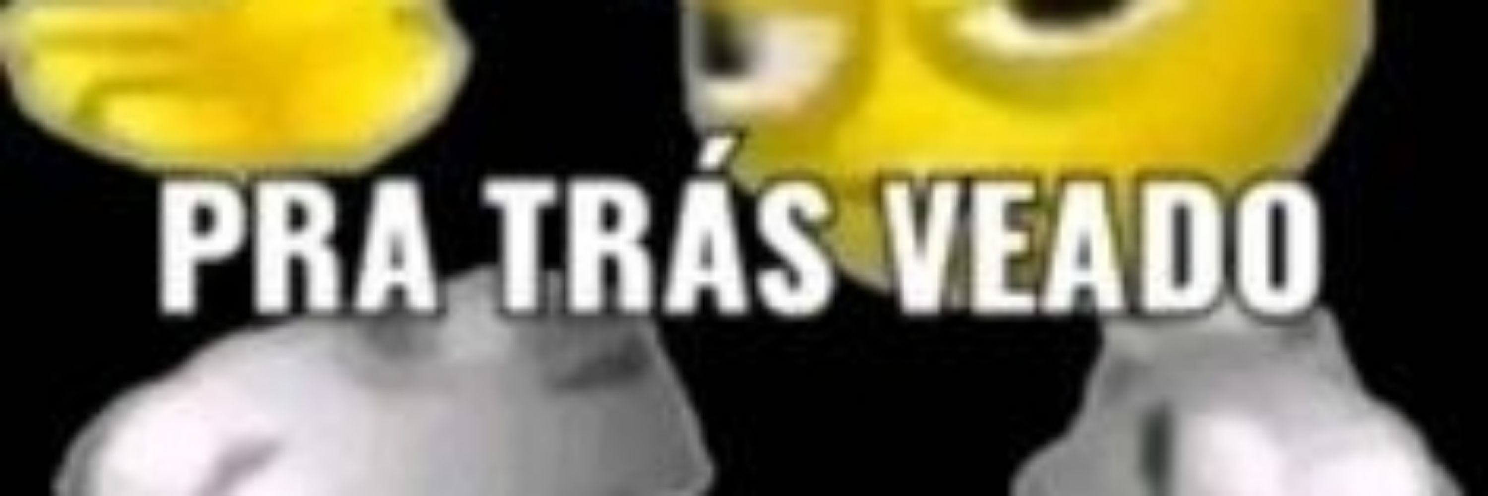 Memes ruins e porcos