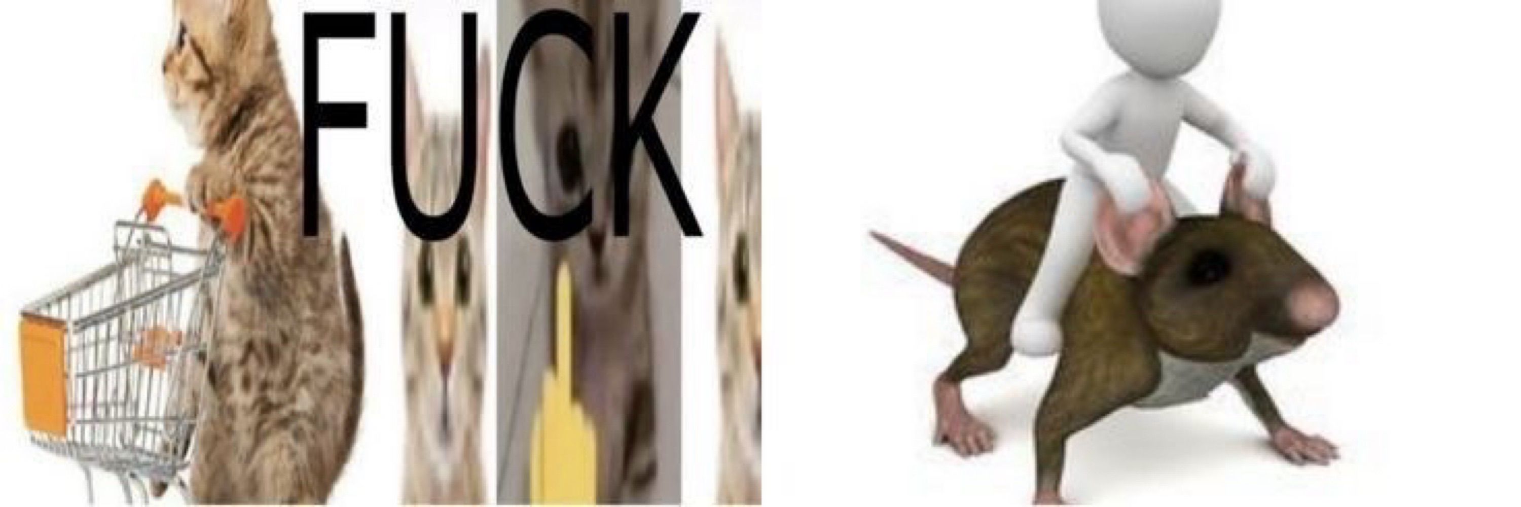 🄰🄽🄸🄲🄺