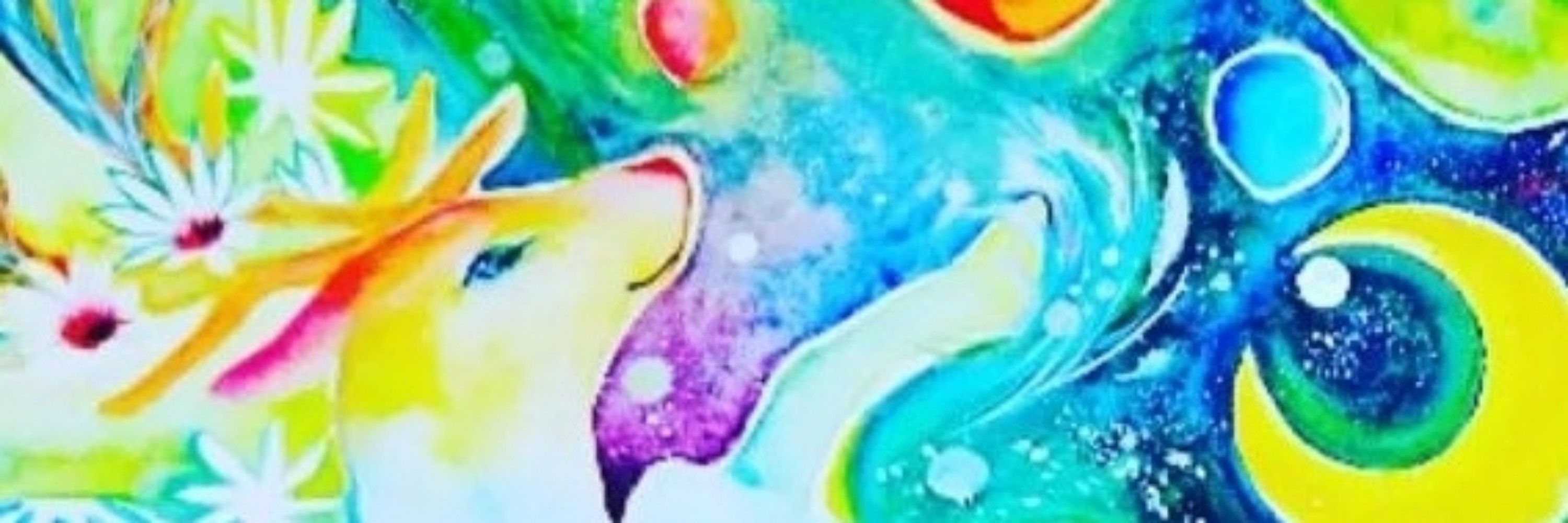 🌈ゆみ🌻