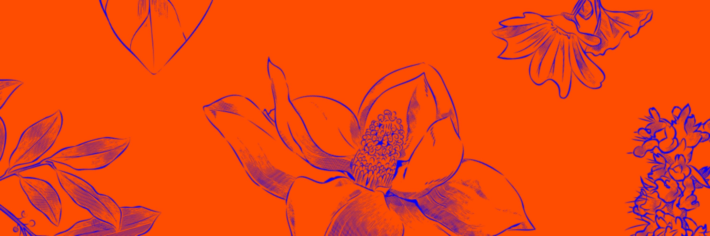 Julia Clementson | Creative Consultant