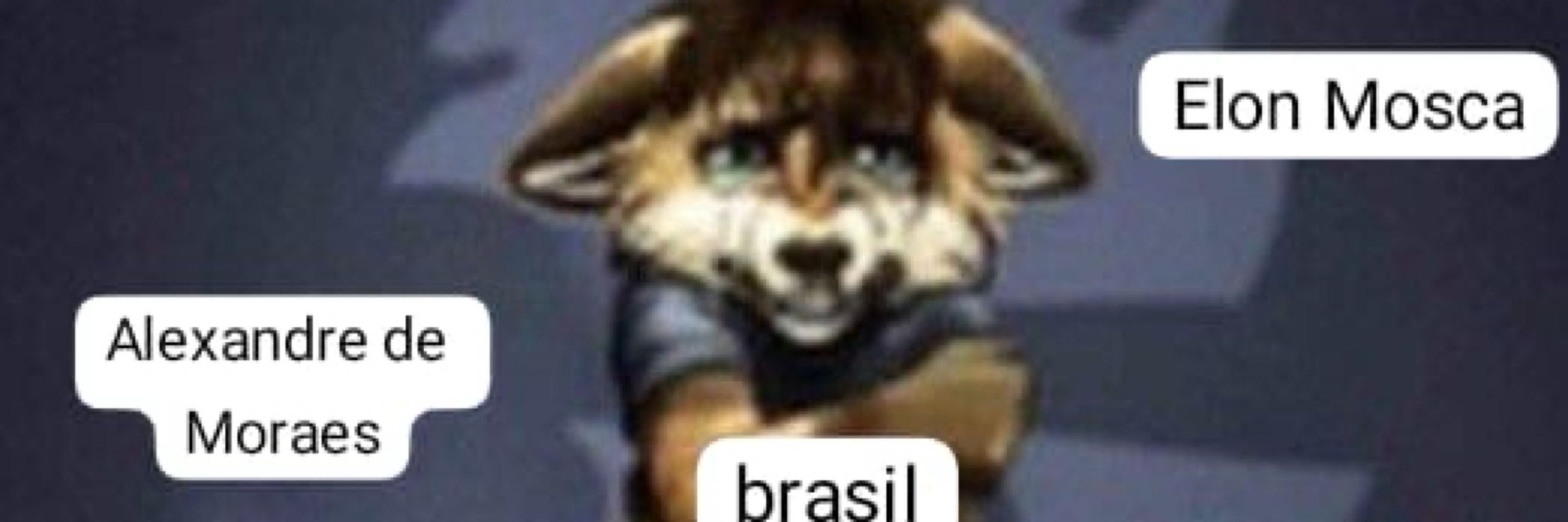 FabinBfr