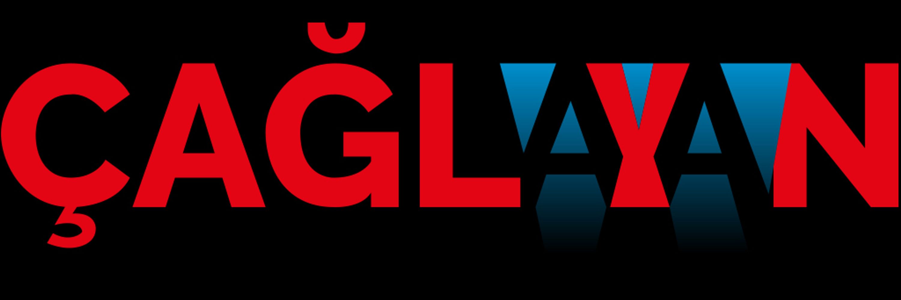 caglayandergisi.com