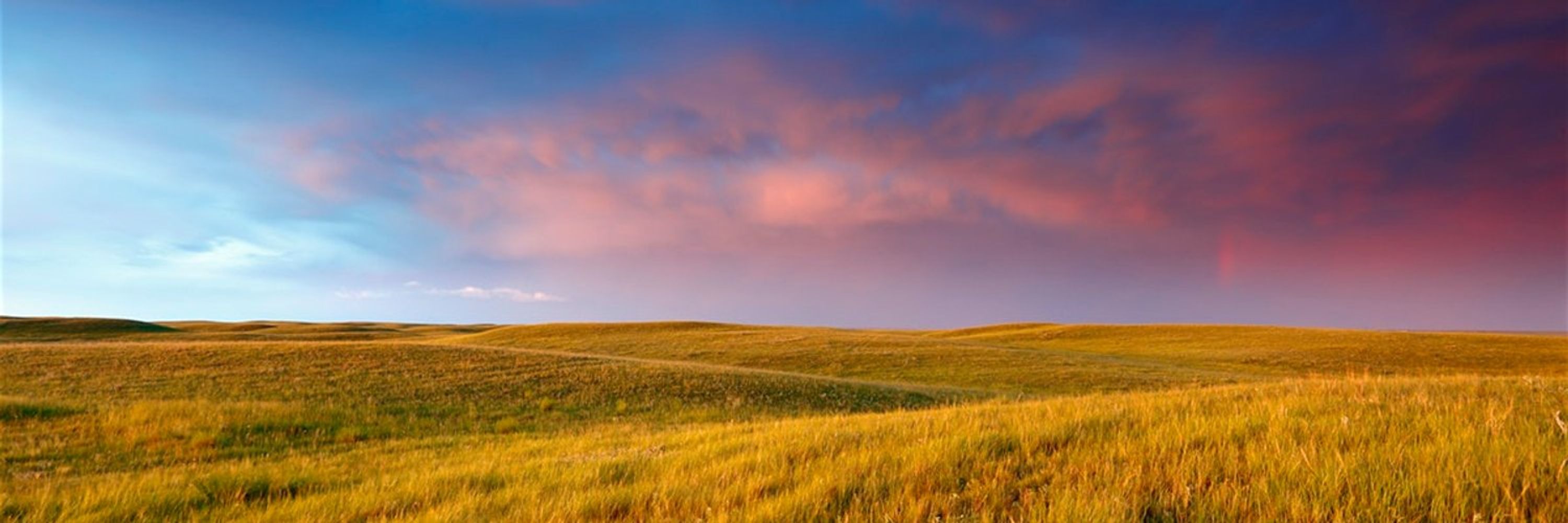 Canadian Evaluation Society - Saskatchewan Chapter