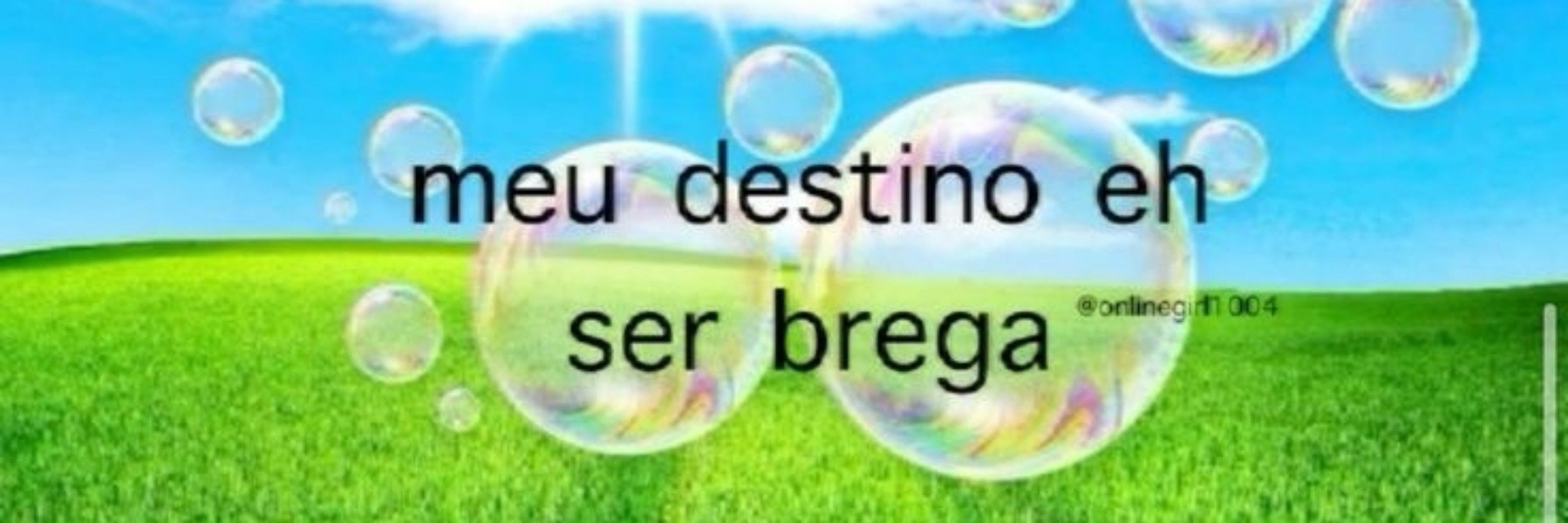 cheirinho manizobs
