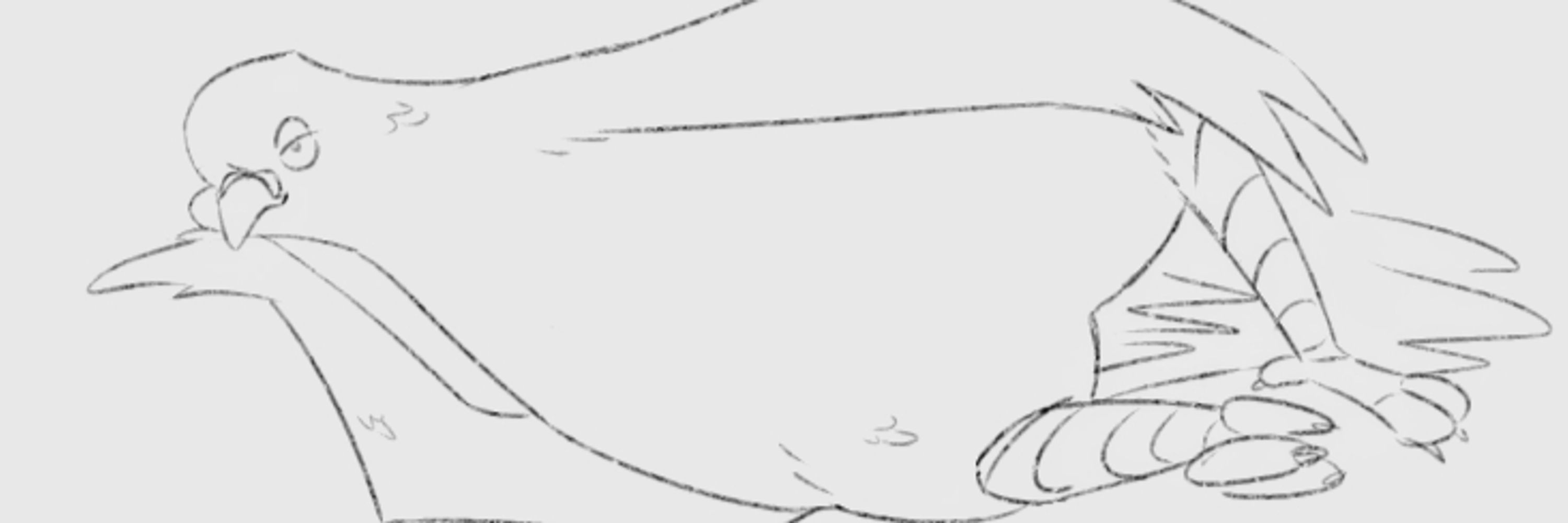 Pidge