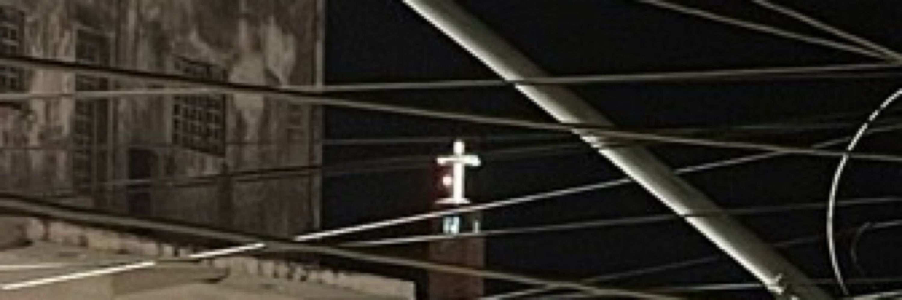 eusexua silva 