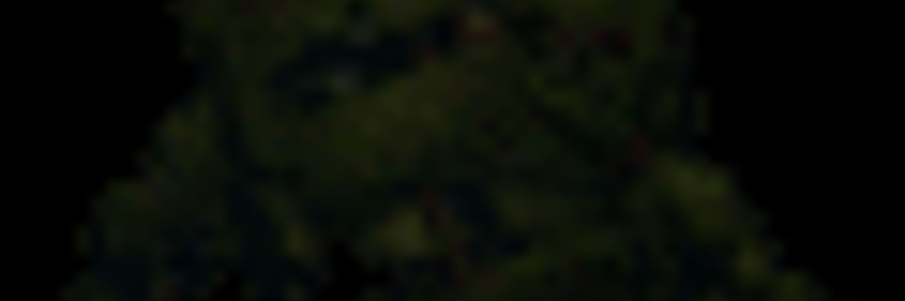 Føx_ |-/