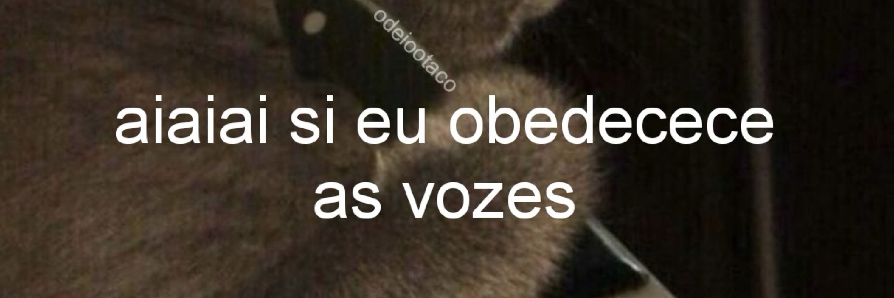 caem 