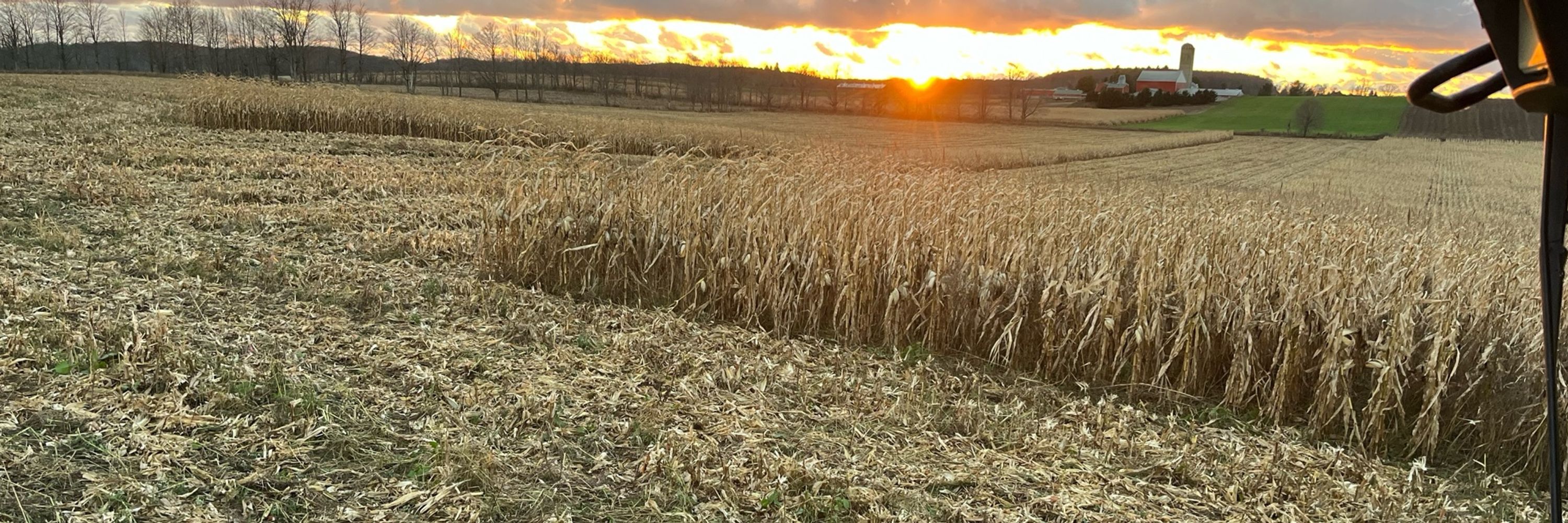 ModernFarmer