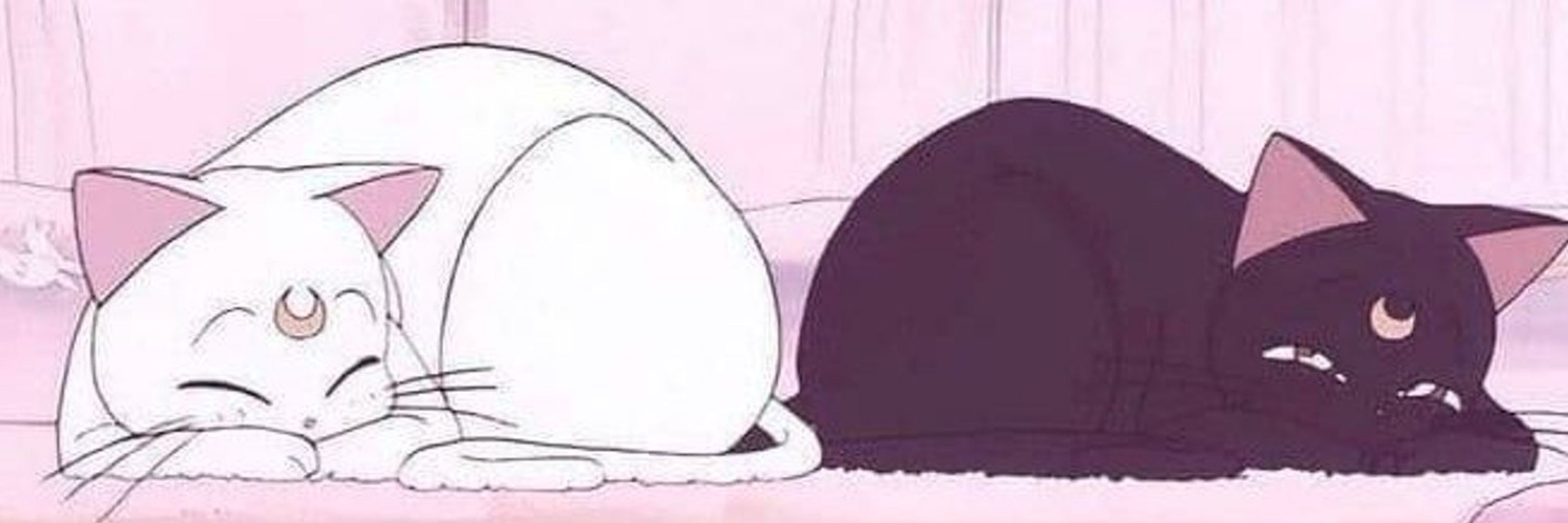 Miray🌙 #1312