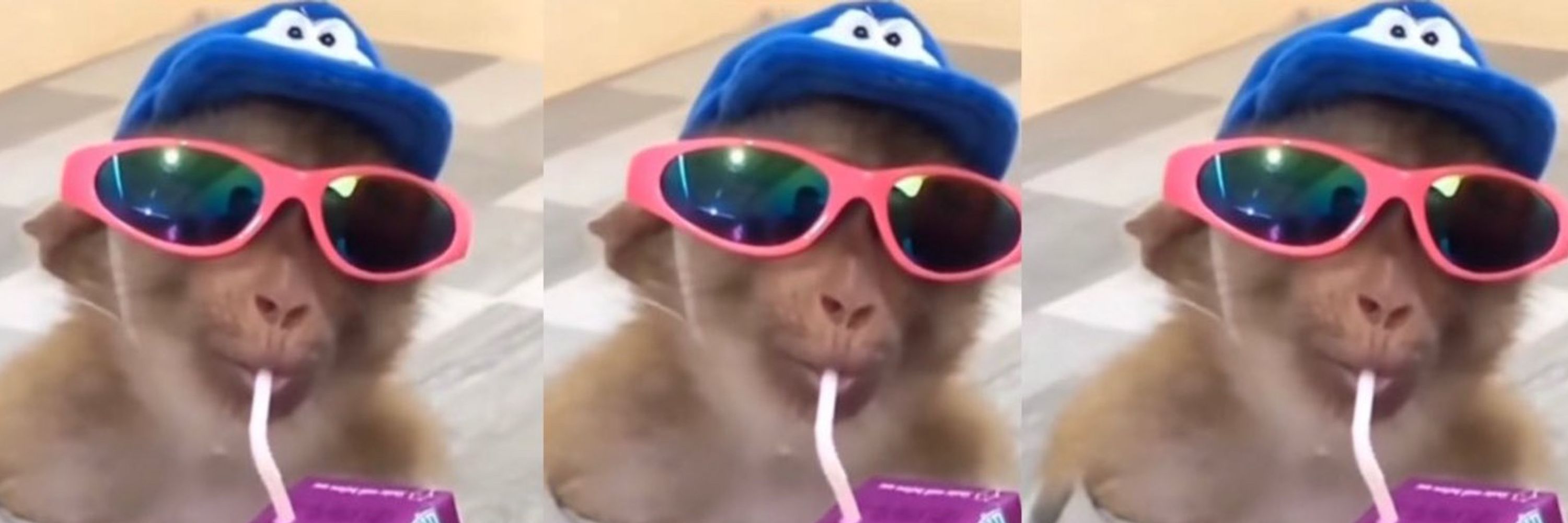 gab burnoutinho