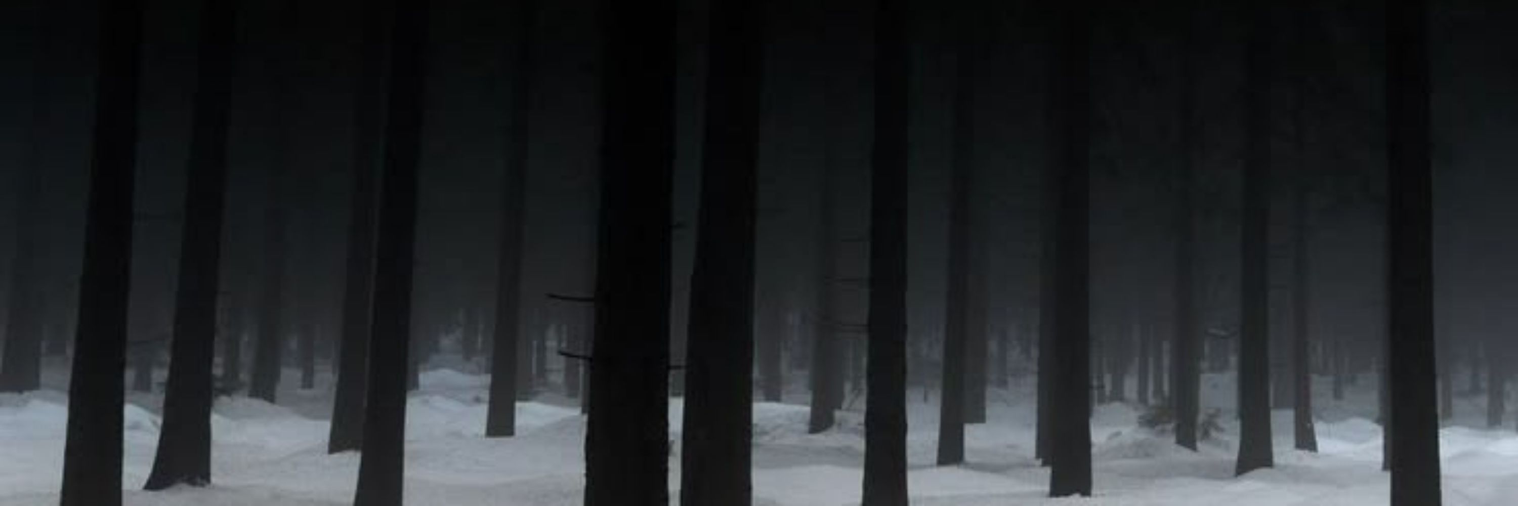 S1dug_artist 