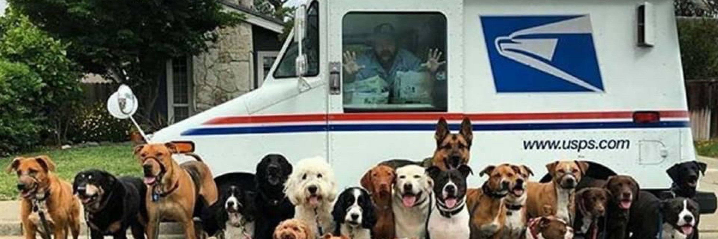 Brad the mailman