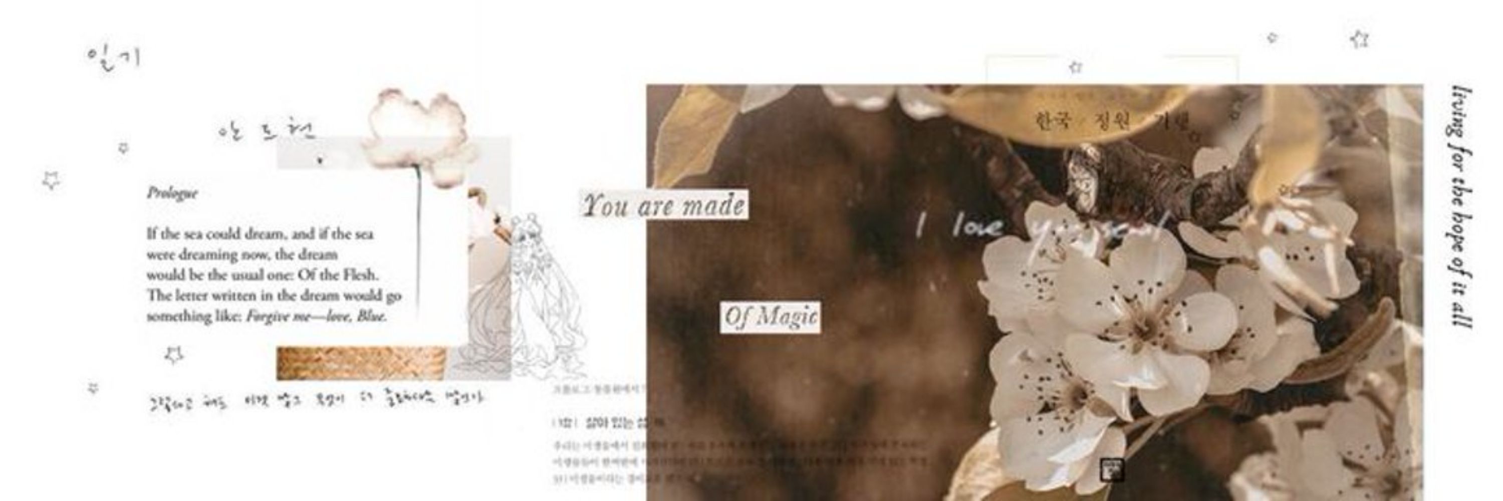 𝐀𝐥𝐡𝐚𝐢𝐭𝐡𝐚𝐦 ' noivo do Kavi ✧
