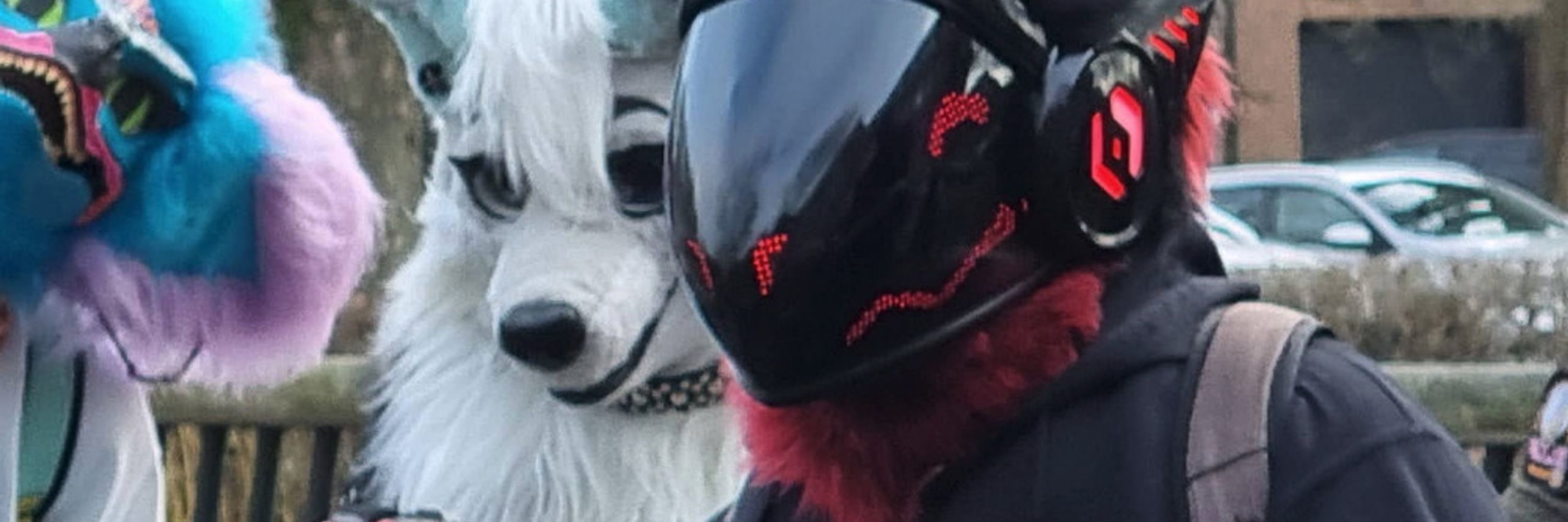 b0xcat