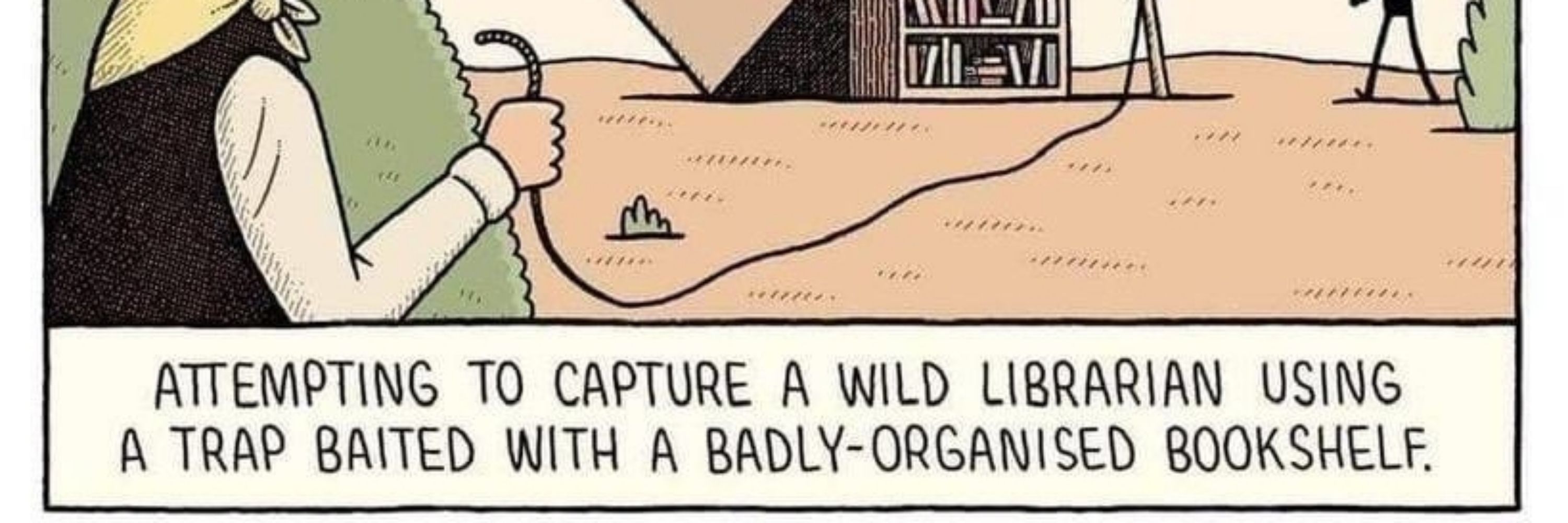 Cwtchyhobbes