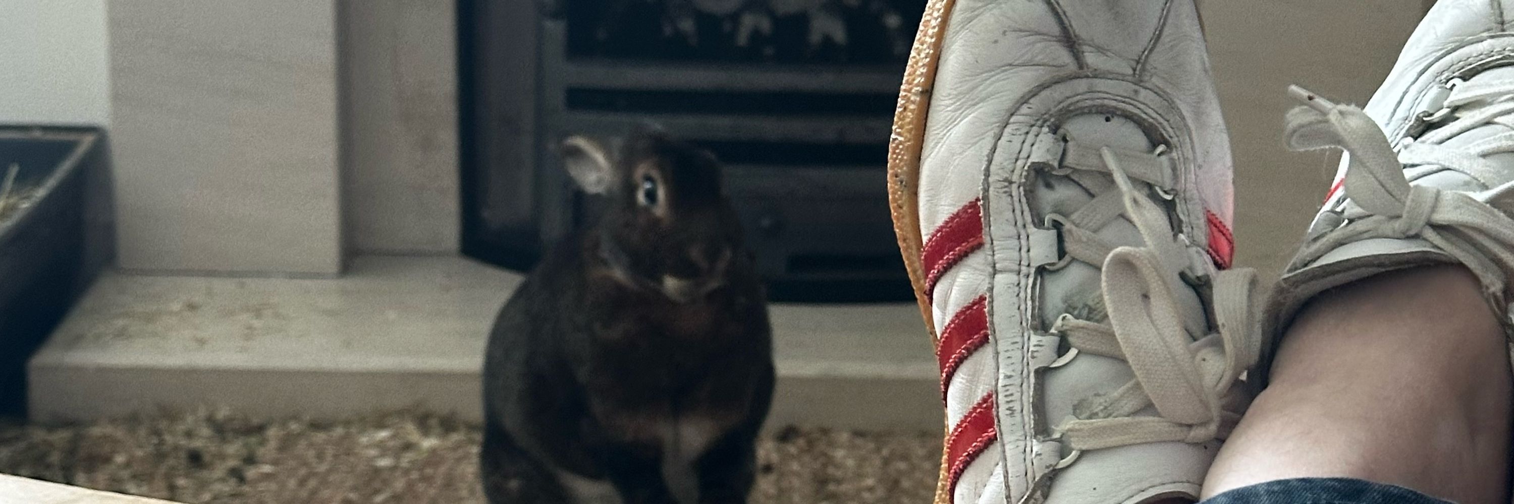 The Fat Puncheur