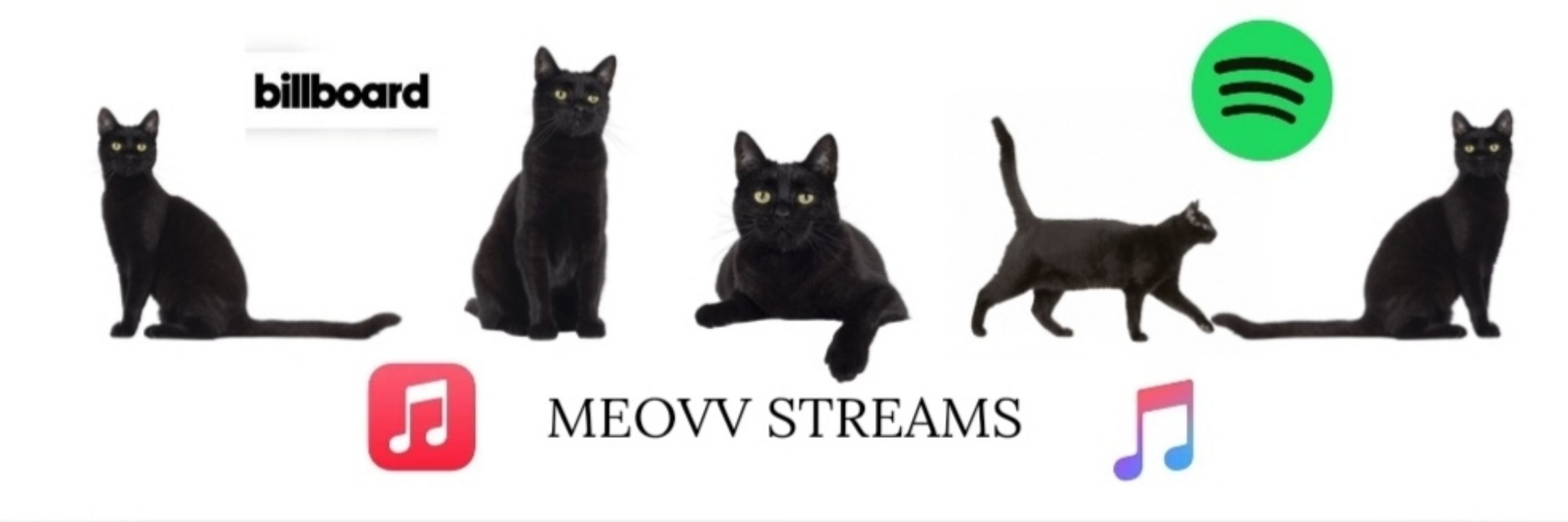 MEOVV STREAMS