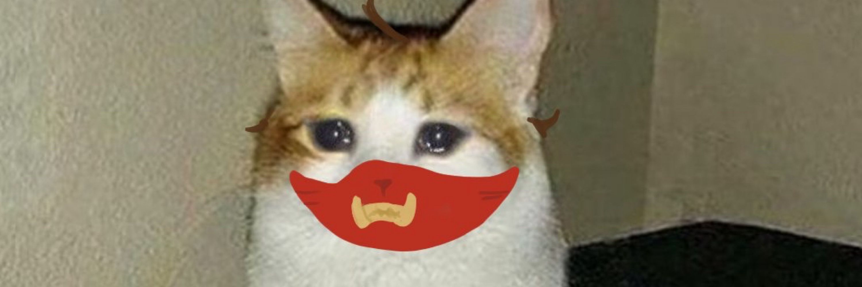 Renlio